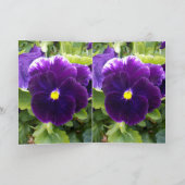 Pansy violet profond, Carte de voeux (Intérieur)
