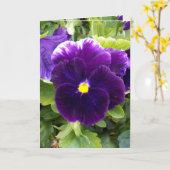 Pansy violet profond, Carte de voeux (Fleur jaune)