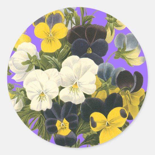 Pansy Violets Botanische Kunst Stickers (Voorkant)