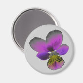 Pansy Wild Dark Purple Magnet (Recto/Verso)
