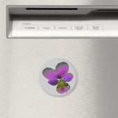 Pansy Wild Dark Purple Magnet (In Situ (Lave-vaisselle))