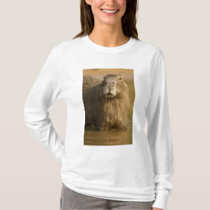 Pantanal, Brazilië, Capybara, Hydrochoerus T-shirt