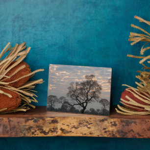 Pantanal Wetlands Zuid-Amerika, Brazilië Fotoplaat