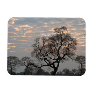 Pantanal Wetlands   Zuid-Amerika, Brazilië Magneet