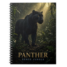 Panter Dichte Jungle Wildlife DIER