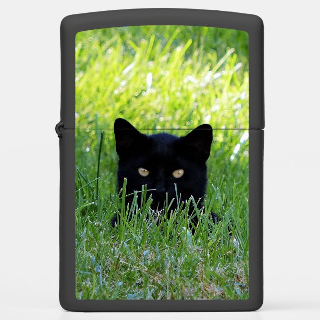 Panter in de gras (Voorkant)