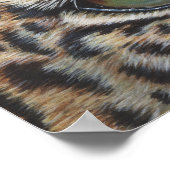 panter leopard ogen poster (Hoek)