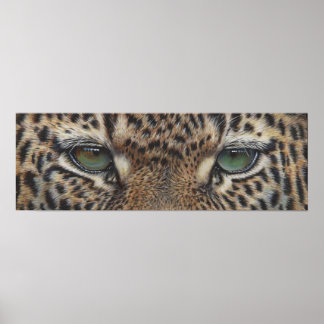 panter leopard ogen poster