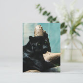 Panter met het Doordringen van Ogen Briefkaart (Staand voorkant)