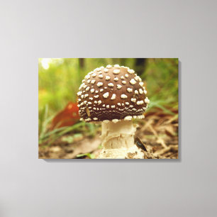 Panter Pet Mushroom Canvas Print
