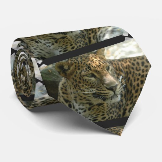 Panters Stropdas (Opgerold)