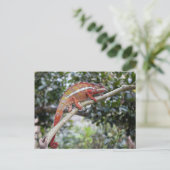Panther chameleon briefkaart (Staand voorkant)
