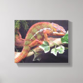Panther Chameleon Canvas Afdruk (Voorkant)