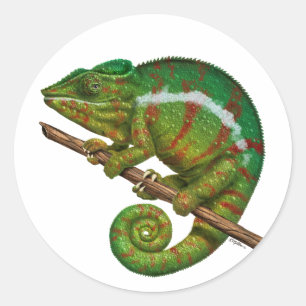 Panther Chameleon Digital Painting Ronde Sticker