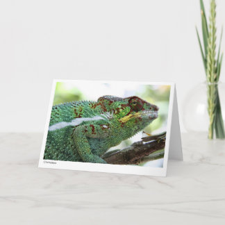 Panther chameleon Gift Card Kaart