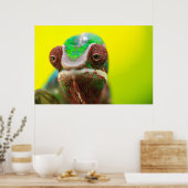 Panther Chameleon, Madagaskar Poster (Keuken)