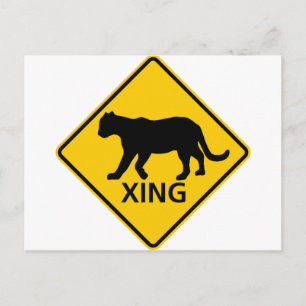 Panther Crossing Highway Briefkaart