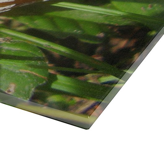 Panther Pet paddenstoel Glazen kapperskap Snijplank (Hoek)