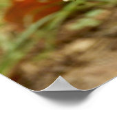 Panther Pet paddenstoel Poster (Hoek)