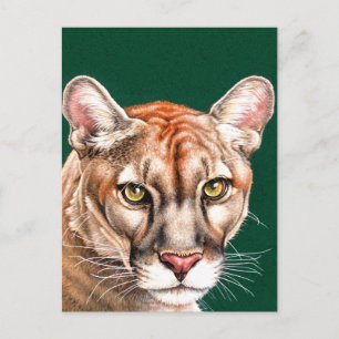 Panther Portrait Briefkaart