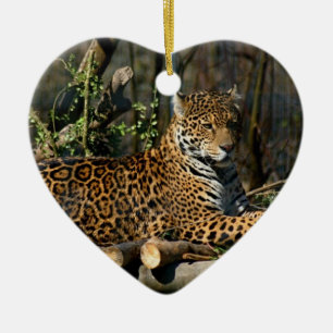 Panthera Jaguar Ornament