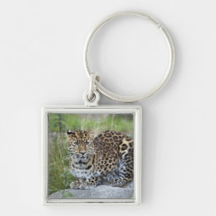 Panthera pardus orientalis sleutelhanger