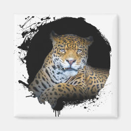 Panthère Animal Vie Sauvage Jungle Nature Magneet