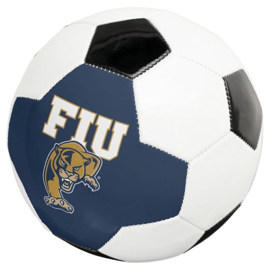 Panthers de la FIU (3/4)