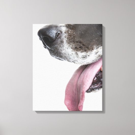 Panting Harlequin Great Dane Canvas Afdruk (Voorkant)