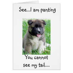 PANTING & TAIL WAGGING PUP IN LOVE!