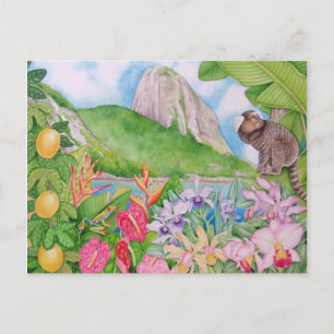 Pão de Açúcar Briefkaart