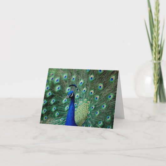 Paon, carte de note (Devant)