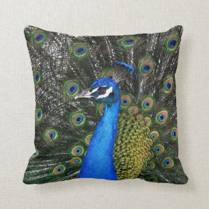 Paon coussin 20 x 20