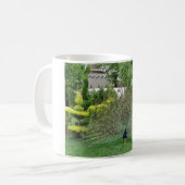 Paon dans un mug de jardin (Devant gauche)