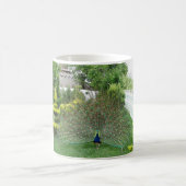 Paon dans un mug de jardin (Centre)