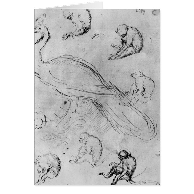 Paon et six singes (Devant)