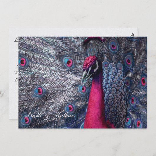 Paon-huwelijk Kaart (Voorkant / Achterkant)