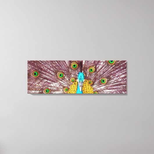 paon toile lumineuse (Recto)