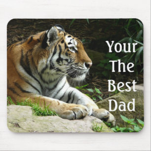 Pap je beste muismat