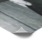 Papa Earl en Sharon Poster (Hoek)