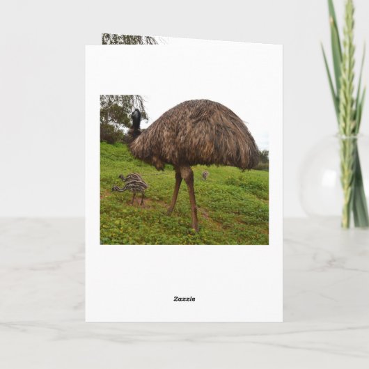 Papa en Baby Emu Chicks, Verjaardag Wenskaart. Kaart (Achterkant)