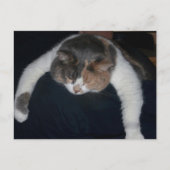 Papa, ik ben Beat. Briefkaart (Voorkant)