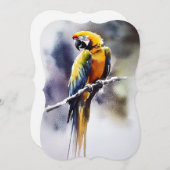 Papagei Feestdagenkaart (Voorkant / Achterkant)