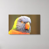 Papagei - Lori Canvas Afdruk (Voorkant)