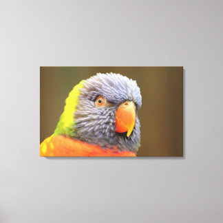 Papagei - Lori Canvas Afdruk