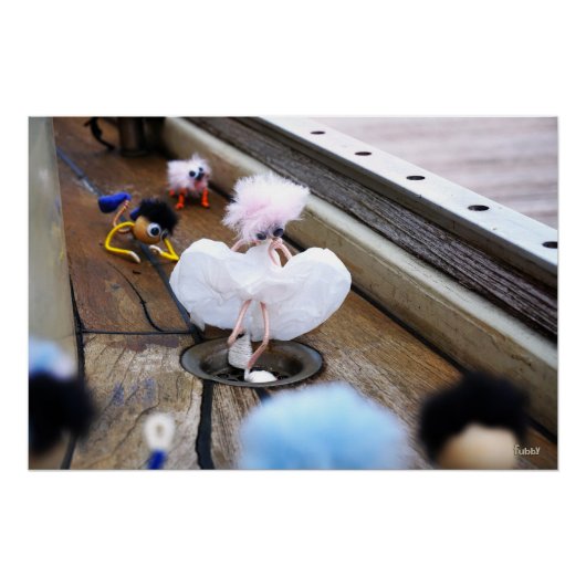 Paparazzi bij Fubby op rooster. Perfect Poster (Voorkant)