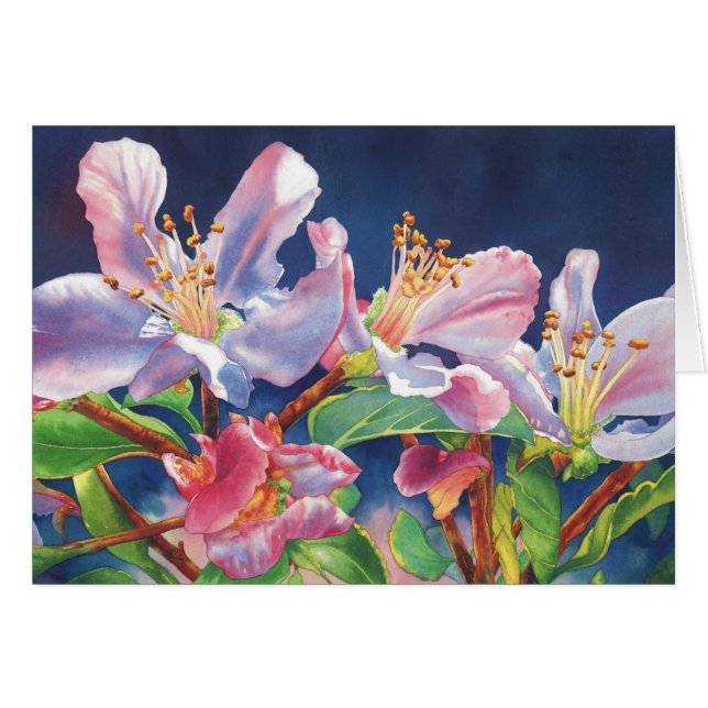 Papa's Apple Tree (Voorkant Horizontaal)