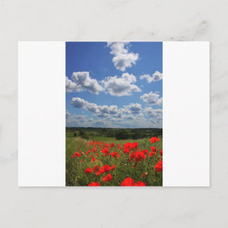 papaver briefkaart
