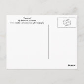 papaver briefkaart (Achterkant)