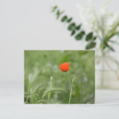 Papaver Briefkaart (Staand voorkant)